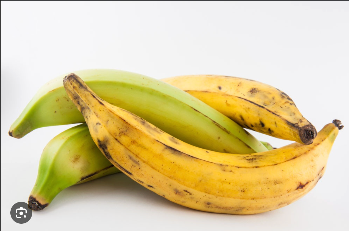 Plantain